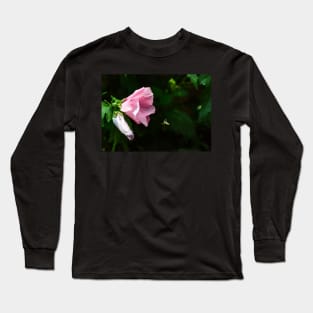 Sweet Bee on Approach Long Sleeve T-Shirt